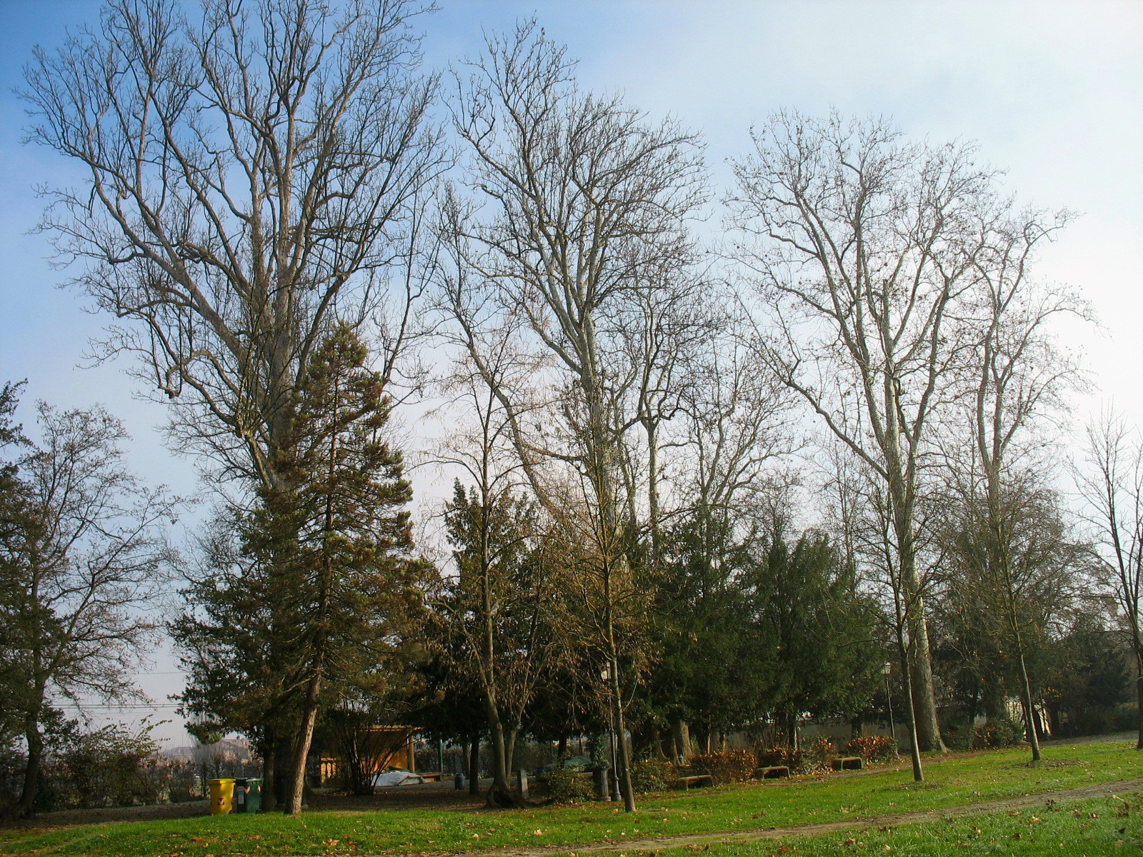 ER Villa Smeraldi 2 - Bentivoglio BO